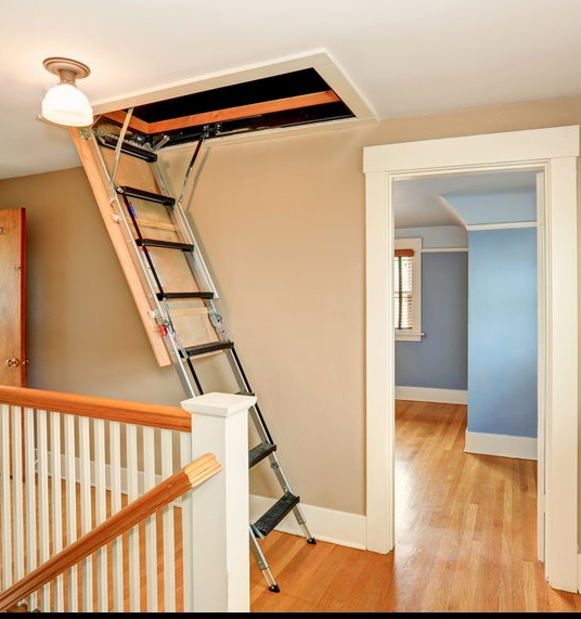 Attic door open with ladder